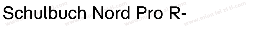 Schulbuch Nord Pro R字体转换